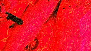 Alternative Girl Experiences Wax Play and Big Black Cock in First Time Interracial Anal.