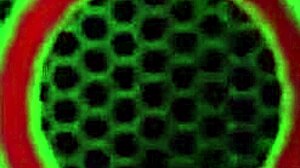 Watch Lesbian Sex in Jacuzzi! Mia Peach Licks Big Tits and Wet Pussy with Orgasm!