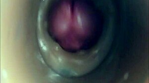 Internal Camera Fuck In Pussy Big Pulsating Cumshot