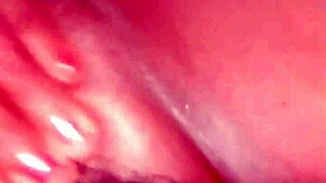 Indian Village Wife Contrasts Outdoor Cucumber Fucking with Wet Pussy Orgasm