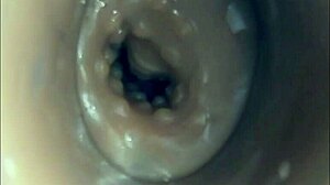 Internal Camera Fuck In Pussy Big Pulsating Cumshot