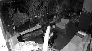 M4rkus77cgn Caught Jerking Huge Cock And Cumming With Moans On Spy Cam