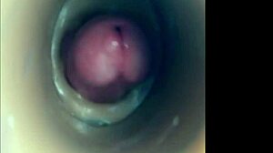 Internal Camera Fuck In Pussy Big Pulsating Cumshot