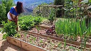 sexy milf caught stealing on farm gets fucked outdoors by owner enjoying her wet pussy and big tits