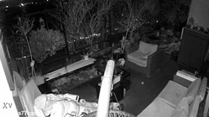 M4rkus77cgn Caught Jerking Huge Cock And Cumming With Moans On Spy Cam