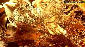 sexy skinny colombian jana endures intense interracial anal ass-to-mouth domination