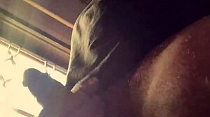 In this exotic scene, bad wolf28 unleashes a wild shower of intense encounters. From arab to japanese glamour, it builds to a steamy outdoor massage with european flair.