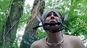 French Milf Slave Ponygirl Bound Buttplug Doggystyle Outdoor Humiliation