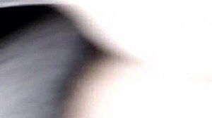 Hey loren suck my caribbean cock in florida?