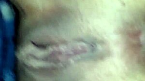 Hey loren suck my caribbean cock in florida?