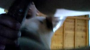 出轨人妻弯腰挨BBC内射绿帽老公POV