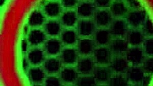 damn kate faucett rides cock like pro 🔥💦