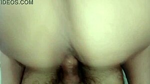 Chubby ninfeta rides cock motel-style