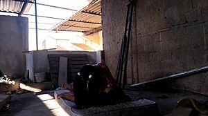 stepdaughter gives tight ass on terrace in cosplay reality