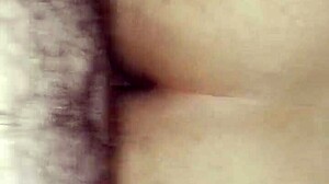 more of my thick beautiful mexican bbw curves