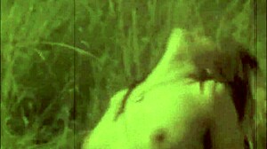 vintage beavers battle 1960s retro hairy pussy fucks