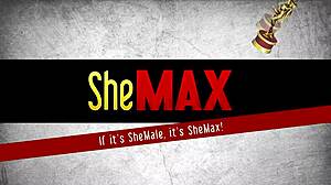 thai ladyboy brunette strips rips clothes plays monster cock round tits