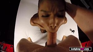 thin thai ladyboy roughly pounded bareback pov style