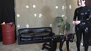 JAPANESE FEMDOM MISTRESS owns masochist SLAVE pet in latex