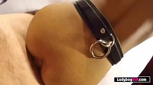 thin thai ladyboy roughly pounded bareback pov style