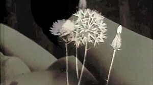 vintage erotic drawings got that antique retro heat 🔥😘