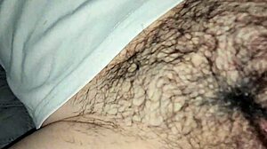 stripping my chubby latina cuñada was this easy for creampie