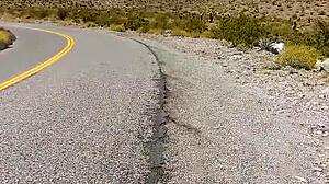 Public Nudity's Secret Thrill Awaits