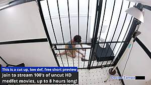 i crave dr tampa rebel wyatt night