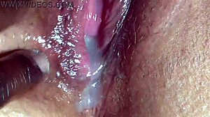 Jamdown26撸黑精射大屁股熟女内裤奶油派合集