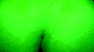 desperate salta slut jumps juicy pussy on hard dick craving more?