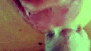 bbw latina rides reverse cowgirl and jerks cock homemade