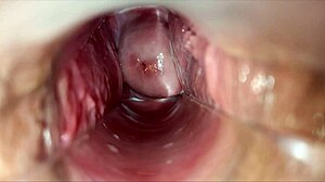 Vagina speculum reveals pulsating orgasm climax