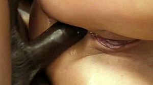 मेगन फियोरेस भूखी छेद रूममेट बीबीसी ने गहराई से चोदे