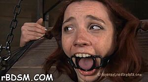 gal bound tight pussy fucked hard femdom pov 😈🍆