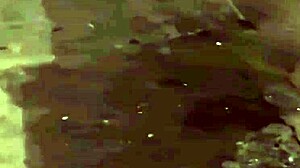 innocent 18yo cuñada rides verga hard at motel