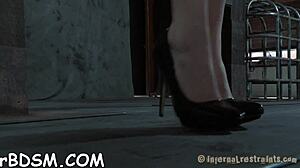 bound slut sucks cock hard in bdsm master's rough game