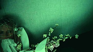 Discover the world's most beautiful toilet pet unveiled