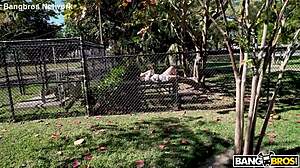 swingers fuck shaved pussies on bus with brunette blowjob creampie group hairless 😜🚌💦👅