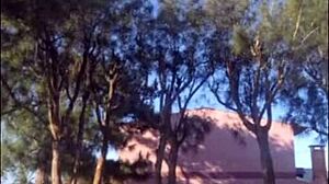 Hot stepmom in bikini shows off new outfit in garden for stepson 😏🏡