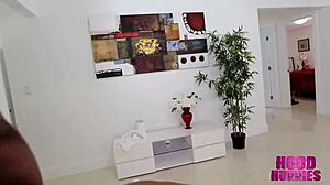 cinnamon stacks kills it in classic hoodhunnies jump off